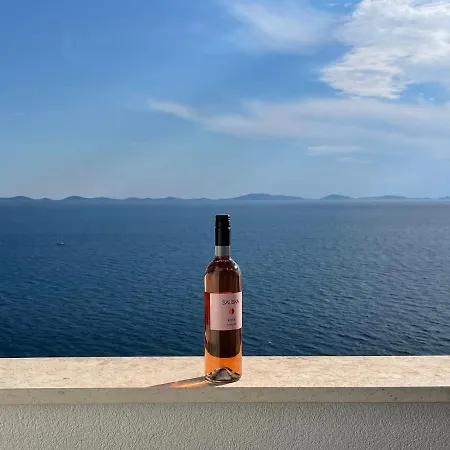Pearl Of Dalmatia Apartment Murter